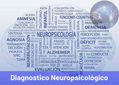 Diagnostico Neuropsicológico