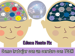 El enigma del TDAH. ¿Como trabajar con un cerebro con TDAH?