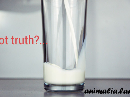 ¿got milk?