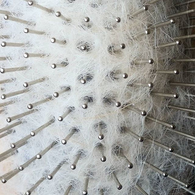 Hair today, gone tomorrow