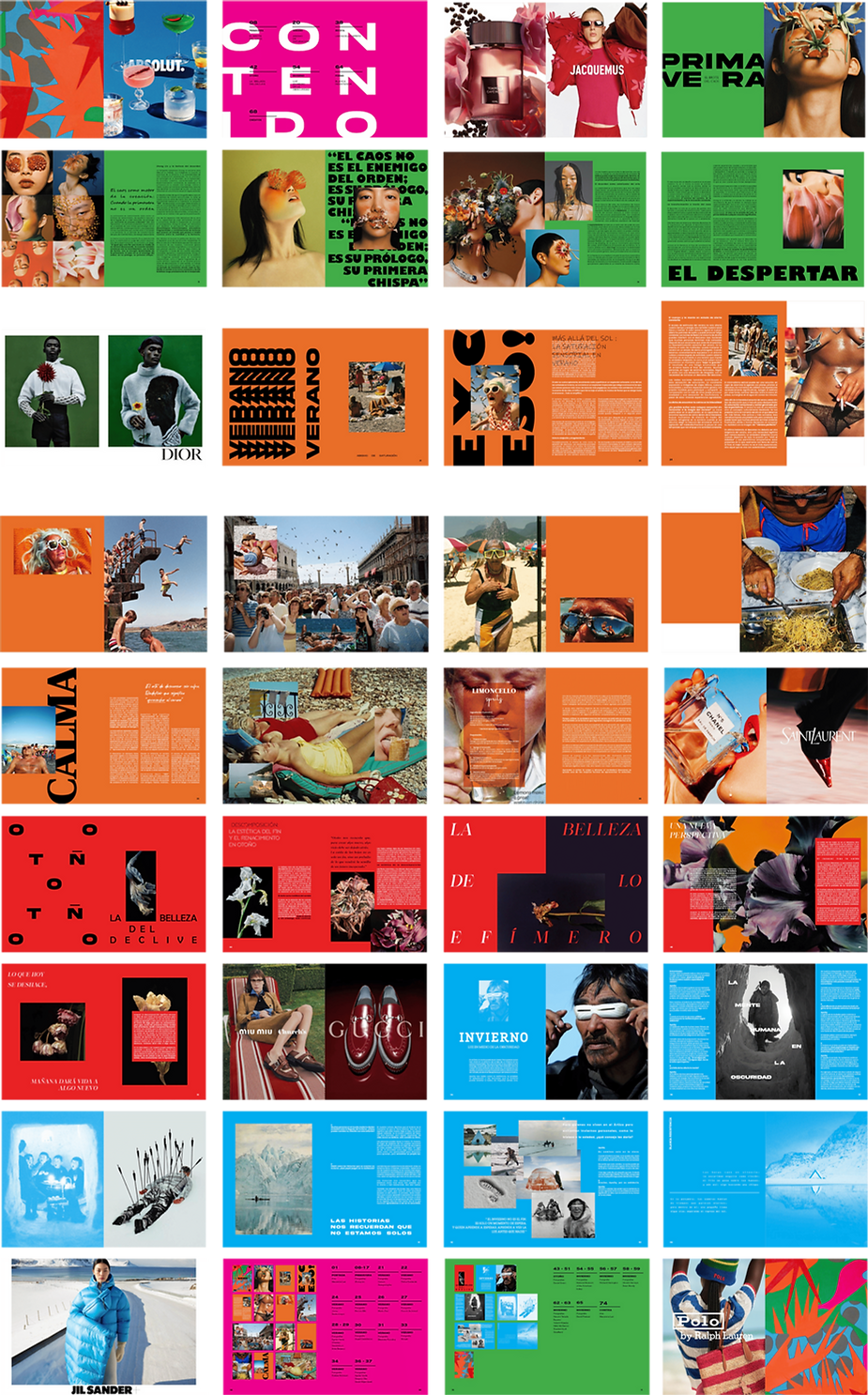 REVISTA SZNS C (1).png