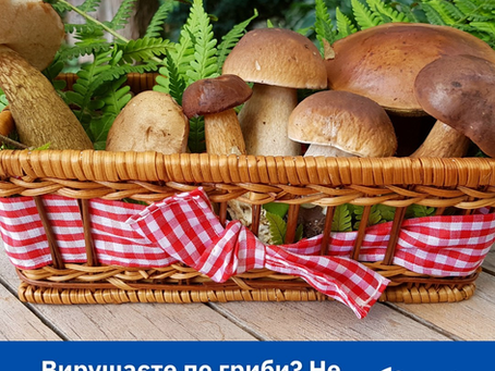 Профілактика отруєнь грибами — ваша відповідальність!