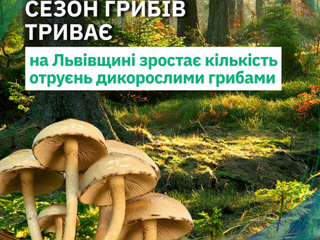 Сезон грибів триває: на Львівщині зростає кількість отруєнь дикорослими грибами!