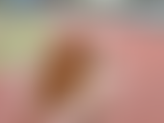 Педикульоз: як уберегтися і що робити, якщо з’явилися воші