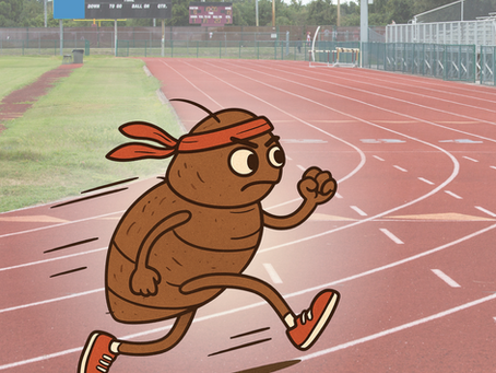 Педикульоз: як уберегтися і що робити, якщо з’явилися воші