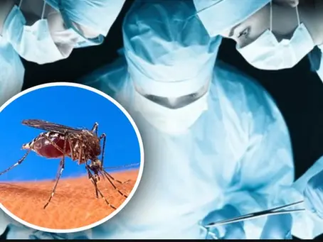 Відкриття вірусу лихоманки Західного Нілу