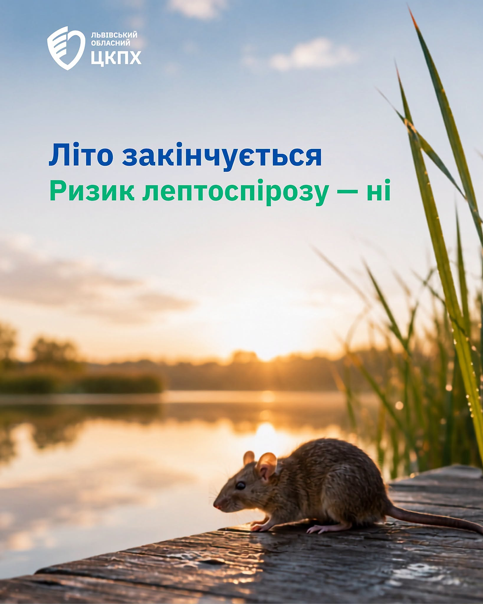 Лептоспіроз: чому важливо бути насторожі