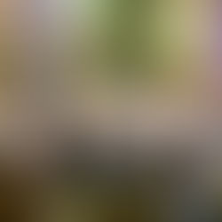 Профілактика паразитарних захворювань у дитячих садках