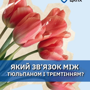 Саме червоний тюльпан став символом хвороби Паркінсона — стану, при якому навіть прості рухи стають викликом