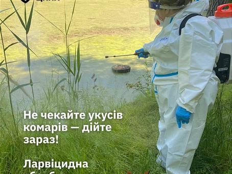 Комарі на Львівщині: пік активності та ризики зараження