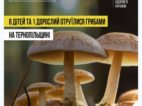 Основні правила та застереження під час грибного сезону
