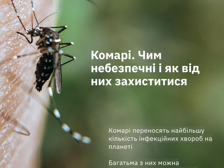 🦟 Які хвороби переносять комарі — і як цьому запобігти