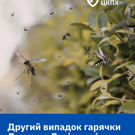Другий випадок гарячки Денге на Львівщині