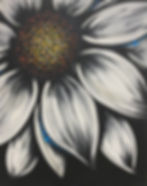 Sip & Paint @ Steph's Kitchen