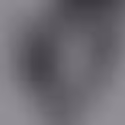 Carhartt WIP Skate JAM