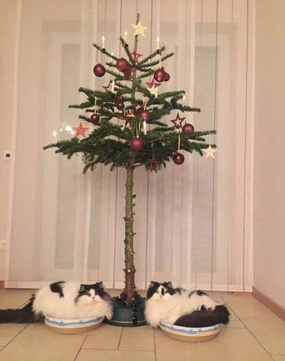 pet-proof christmas trees