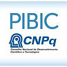 pibic-cnpq