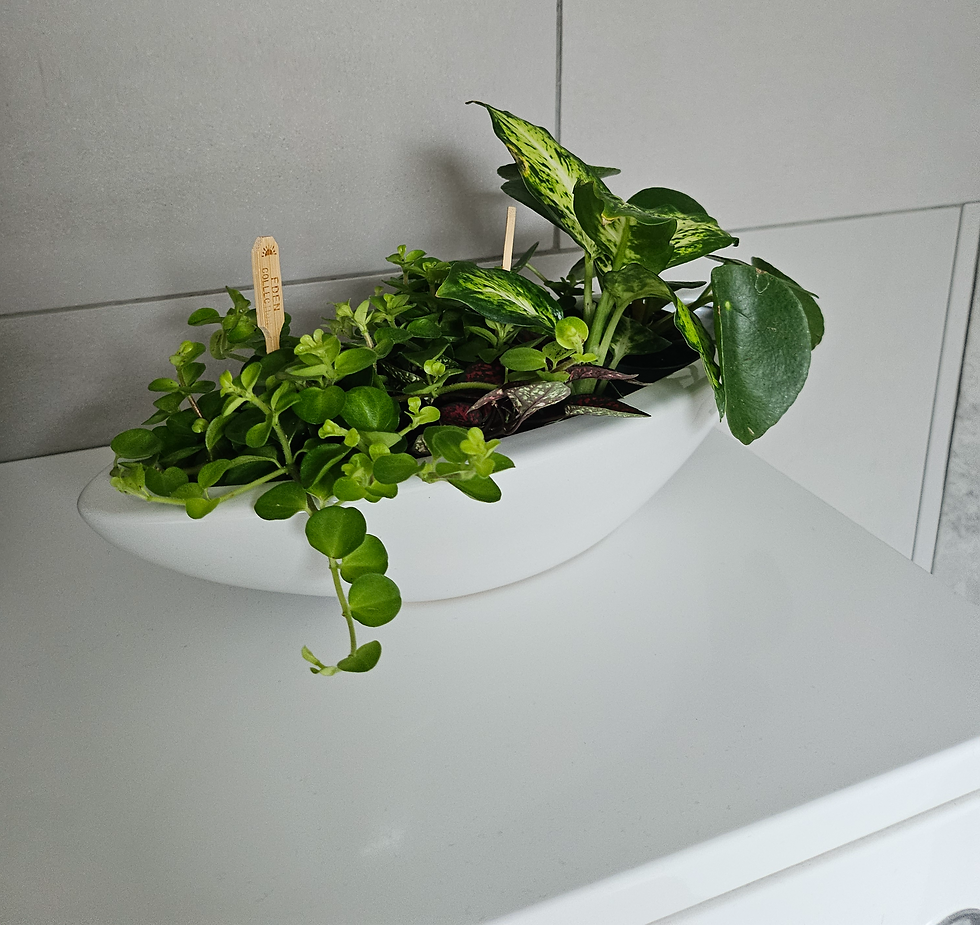 UNIQUE Ceramic Flower Pot Boat Home Decor Plant Holder