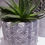 Thumbnail: Concrete Cylinder Flower Pot