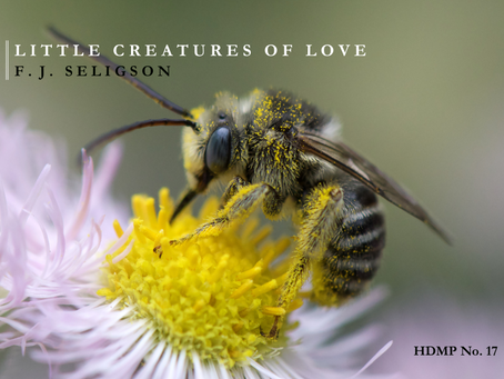 F. J. Seligson's New Digital Chapbook Release: Little Creatures of Love (HDMP No. 17)