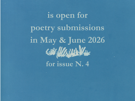 Half Day Moon Journal call for poetry submissions flyer for issue N. 4