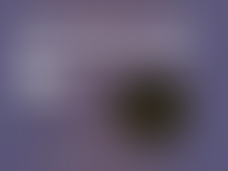 Be Part of BIMA's 2024-2025 Committee - Apply Now.