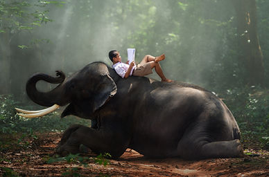 Balance zwischen Natur und Mensch