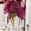 Thumbnail: BURGUNDY PHALAENOPSIS ORCHID