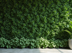 Poda, irrigação e limpeza de jardins verticais