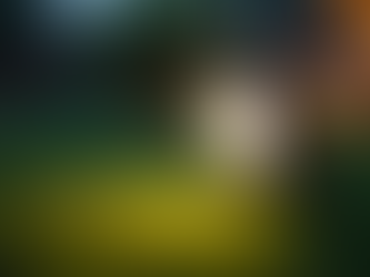 Melhor Opção em Iluminação Ecológica