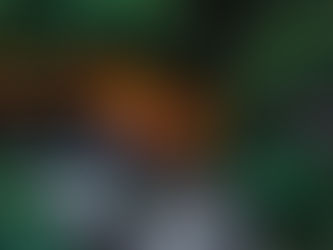 truques para deixar seu jardim lindo