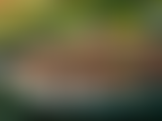 Aplicando Compostagem Inteligente para Reduzir os Impostos