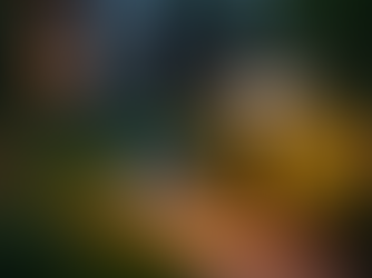 Como o Jardim Pode Brilhar Sem Poluir