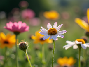 Receitas Simples Usando Flores do Jardim Urbano