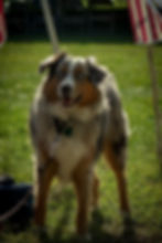 043ABB3A-68AA-48E0-8775-D4E1E4353593