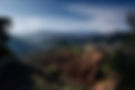 Stunning Moroccan landscape with vibrant rose fields, ancient kasbahs, and winding canyons.