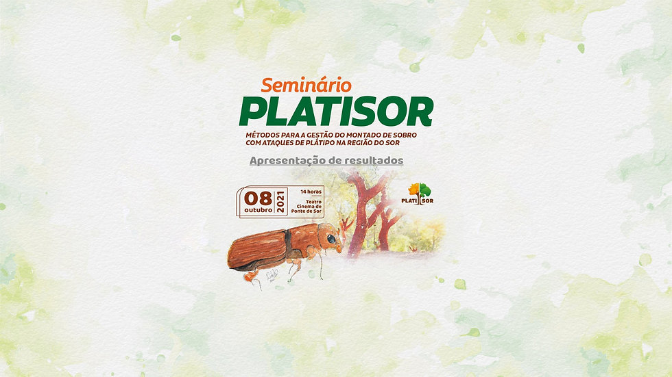 Seminário PLATISOR . Apresentação Resultados.jpeg