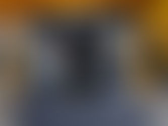 Le moteur Laidong 385