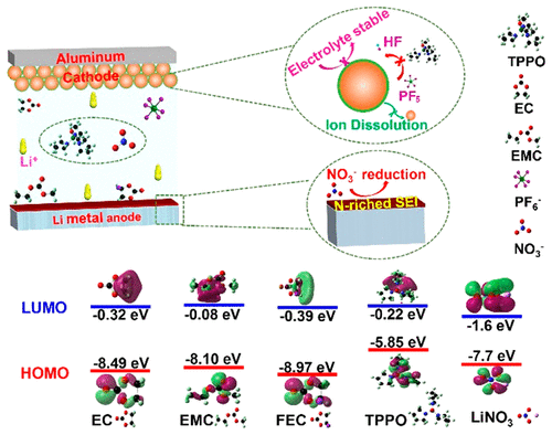 High-Performance Lithium Metal Batteries with a Wide Operating Temperature Range in Carbon