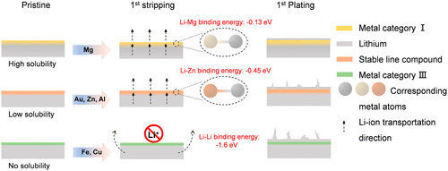 Solubility-dependent protective effects of binary alloys for lithium anode.gif