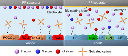 Stabilized solid electrolyte interphase induced by ultrathin boron nitride membranes for s