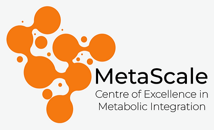 MetaScale logo_orange with black text_horizontal.png