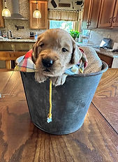 00-9SvDQaMwKTVeh-qw4SlpEpxKq6aHTn8cqRwHVbmsiiczwEbLIKER4sGqF4P4PNMKqCe7ffHDJpwno-pEcjtJnw.