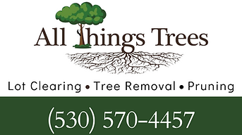 All Things Trees baseball banner design (1).png