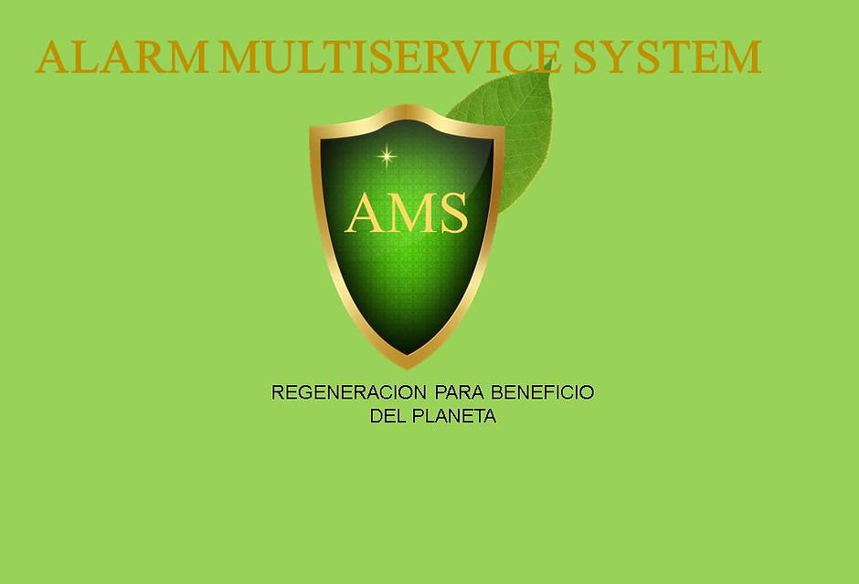 imagen 5.jpg