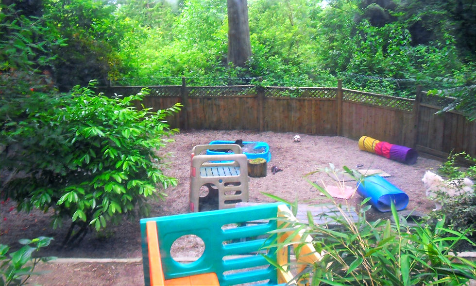 The daycare yard
