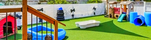 dog daycare yard