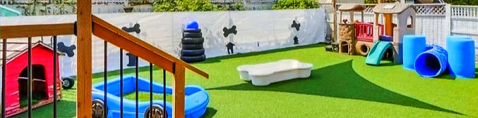 dog daycare yard