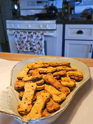 dog bone biscuits