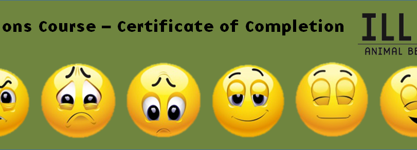 Animal behaviour certification